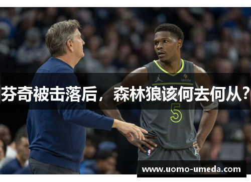 芬奇被击落后，森林狼该何去何从？