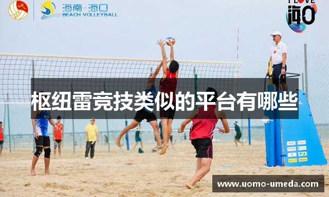 枢纽雷竞技类似的平台有哪些